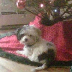 Meet your Posher, Deborah